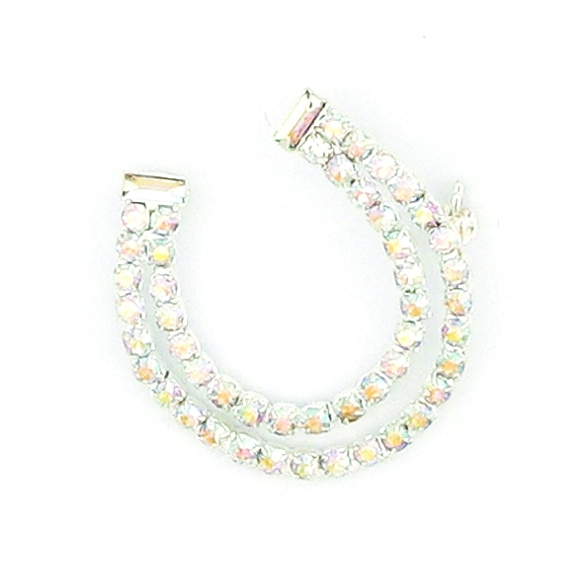 Finishing Touch Horseshoe Ab Stone Pin Silver Finish