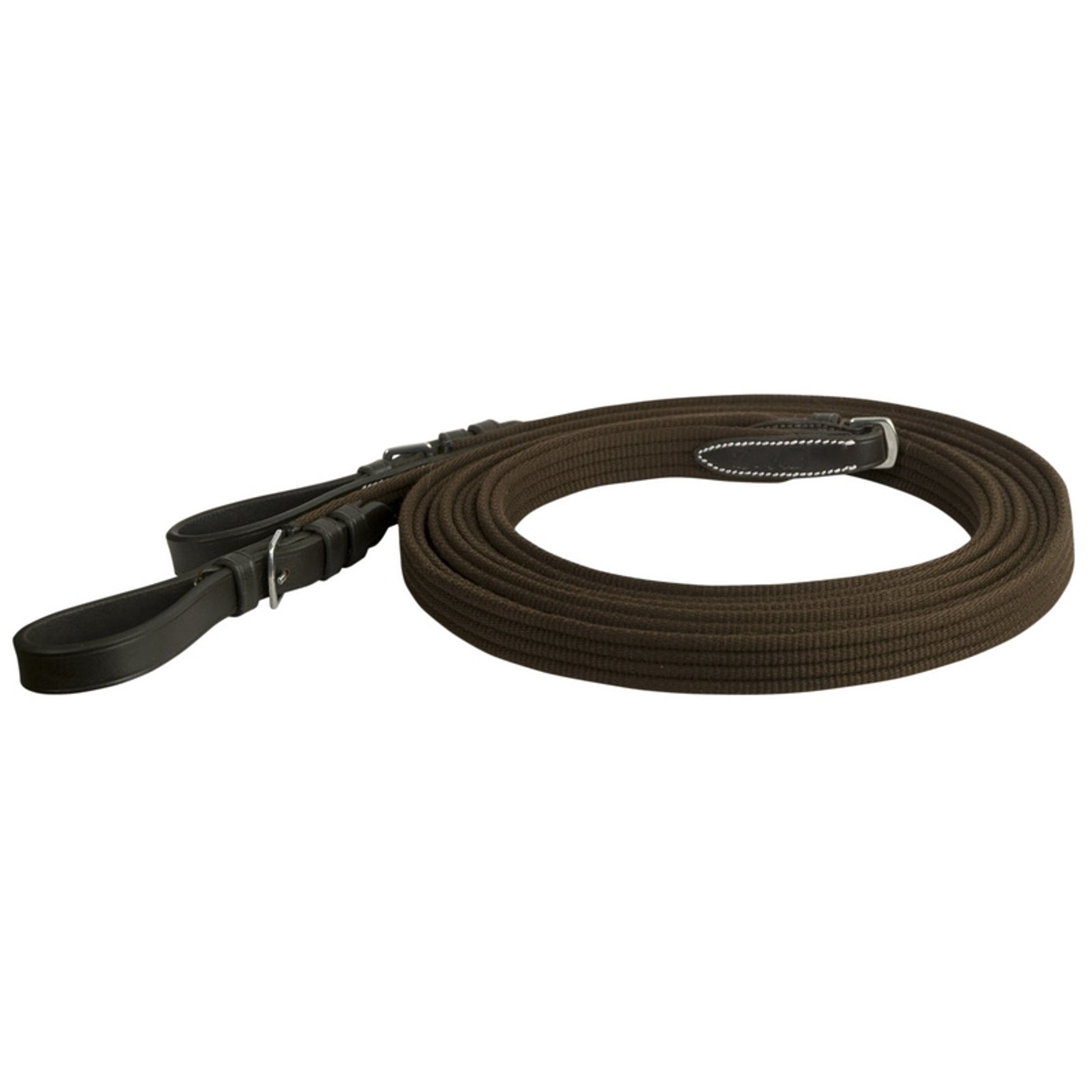 DaVinci Web Draw Reins