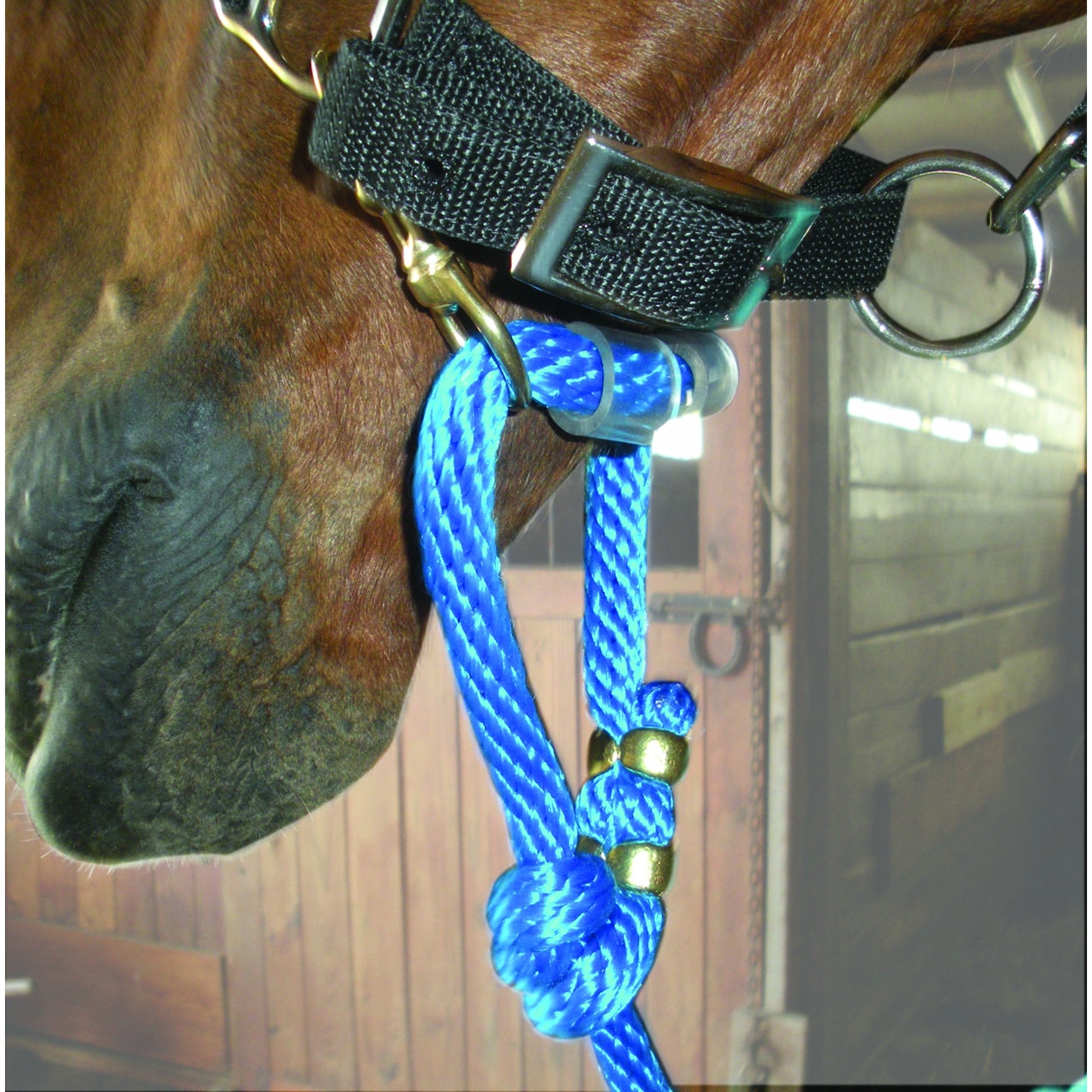 Sound Equine Easy Lead