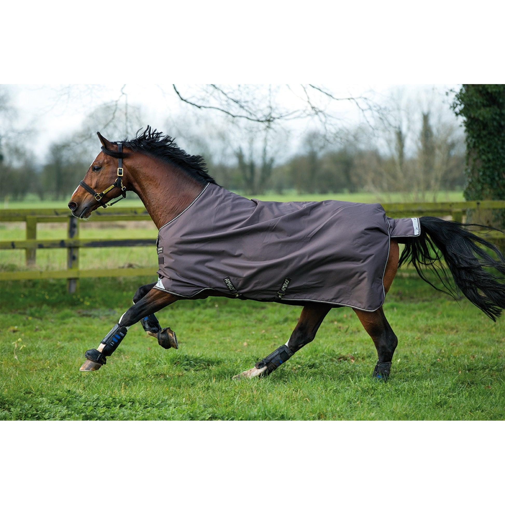 Amigo Bravo Turnout Blanket - Medium Weight