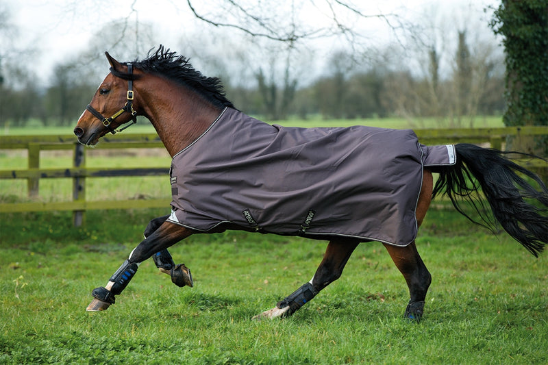 Amigo Bravo Turnout Blanket - Medium Weight