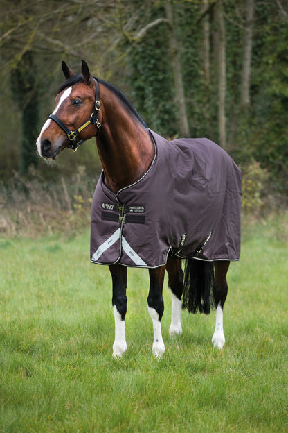 Amigo Bravo Turnout Blanket - Medium Weight
