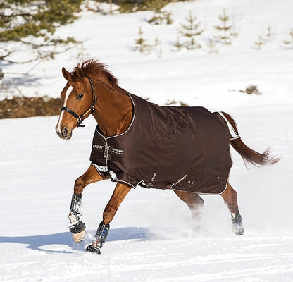 Amigo Bravo Turnout Blanket - Medium Weight