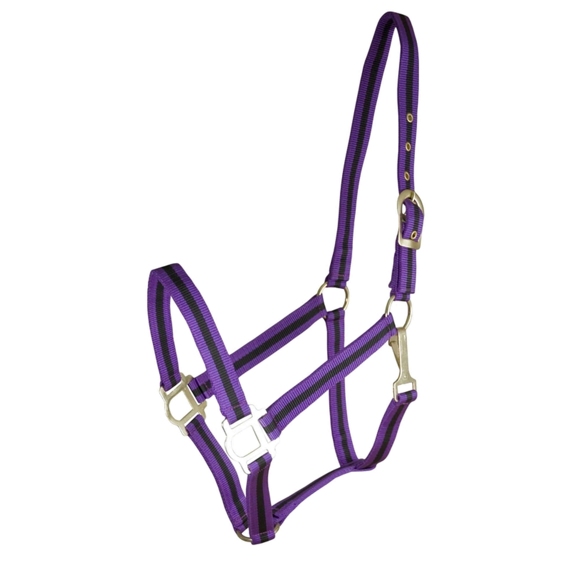 Gatsby Classic 2-Tone Nylon Halter with Snap