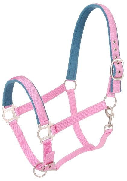 Tough-1 Nylon Padded Halter with Satin Hardware - 5 Pack