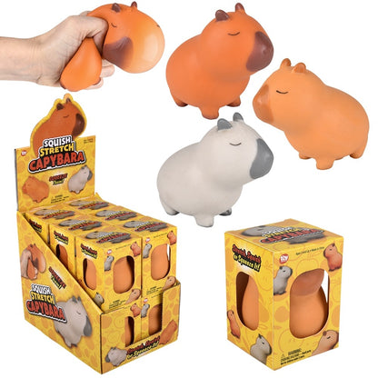 Stretch Squish Capybara Fidget Toy