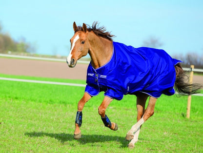 Amigo Hero Turnout Blanket - Lightweight (0g)