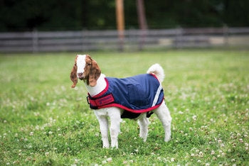 Horseware Goat Coat