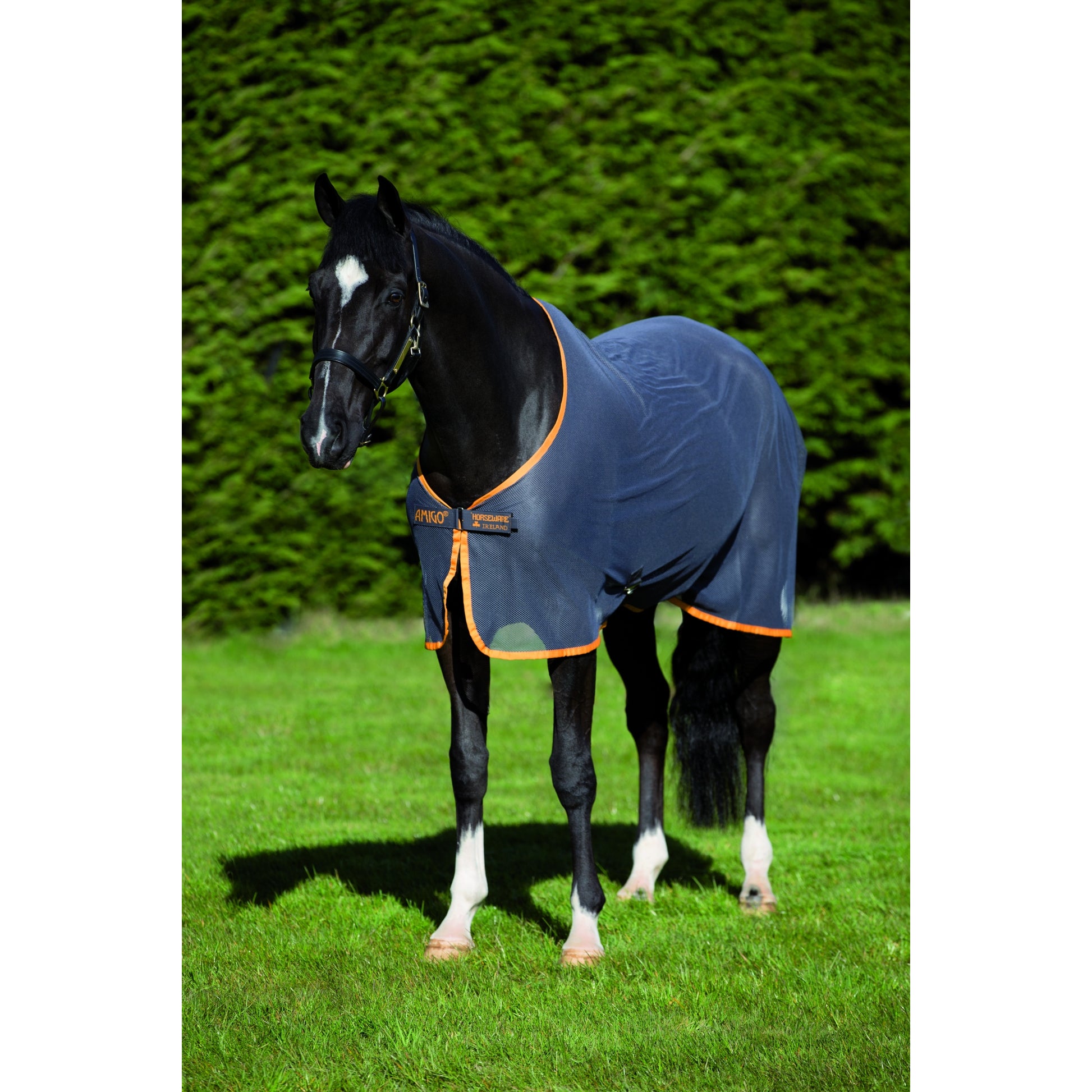 Amigo Net Cooler with Removable Surcingle