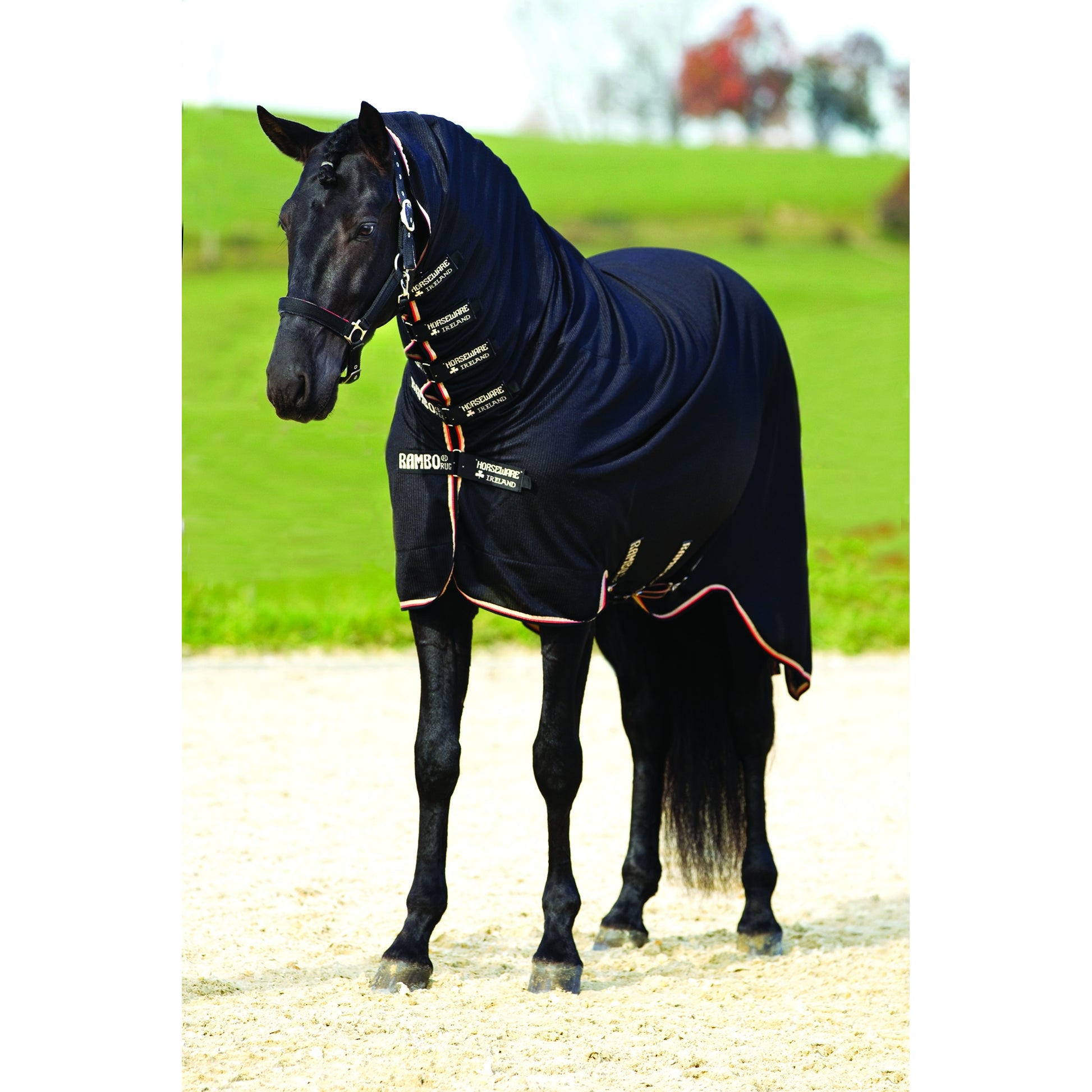 Rambo Grand Prix Show-Ready Blanket