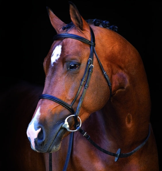 Horseware Mio Bridle