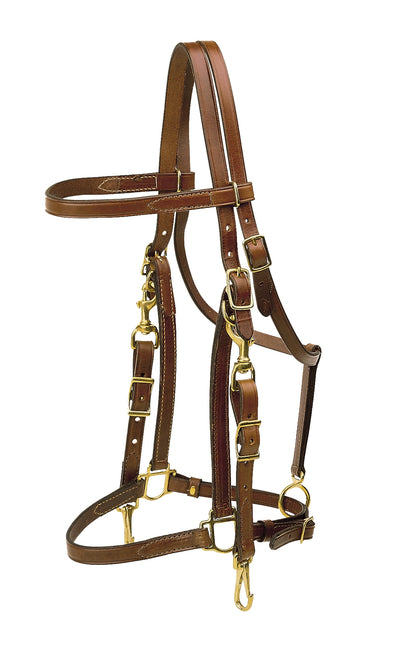 Tory Leather Halter/Bridle Combination Trail Bridle - Brass Hardware