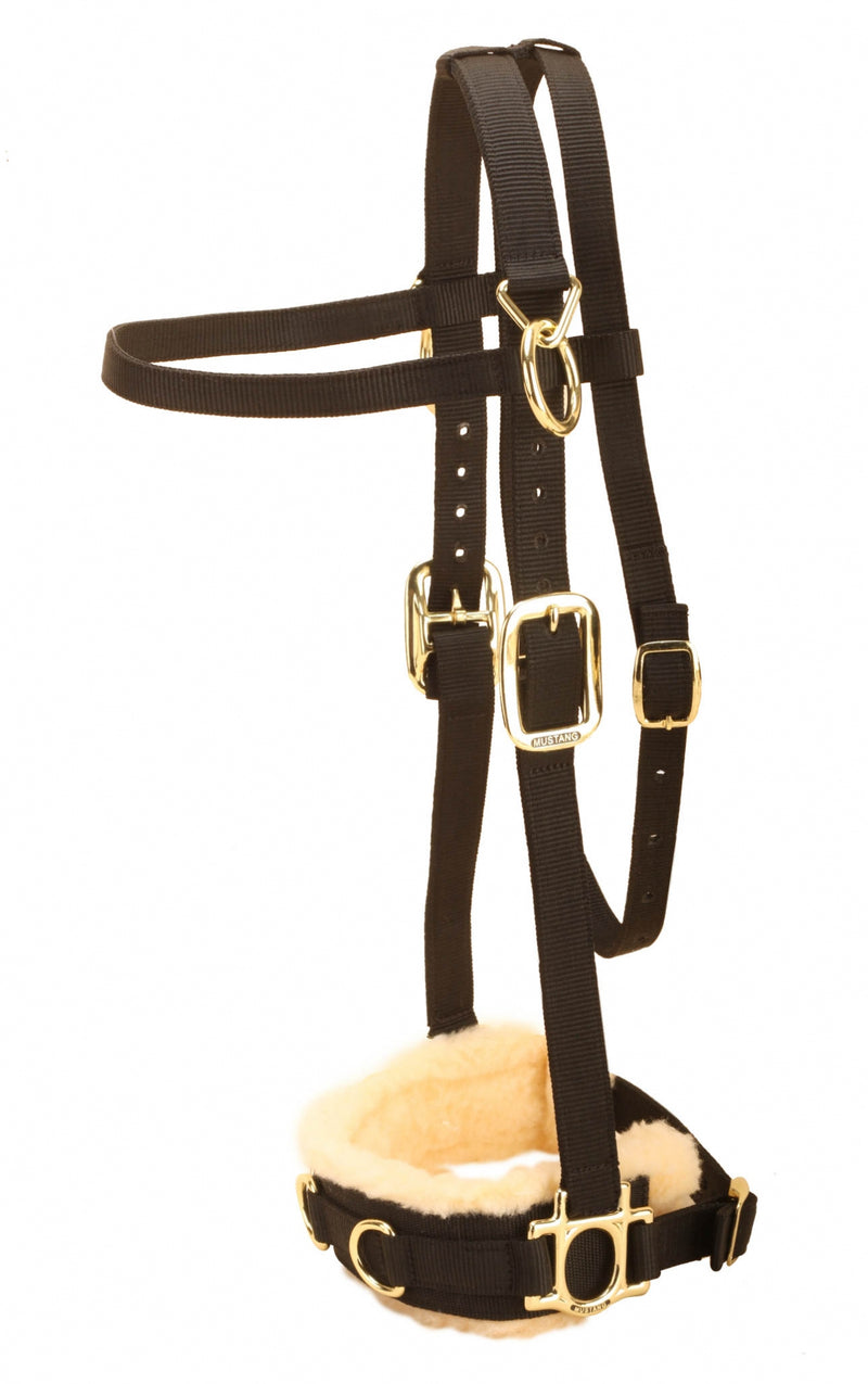 Tory Leather Nylon Lunge Caveson