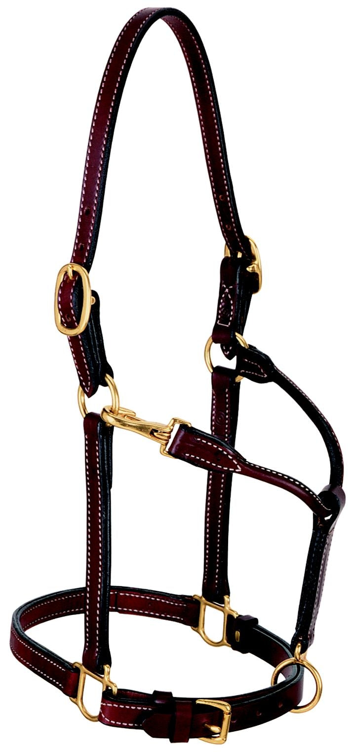Weaver Leather 3/4" Double Buckle Leather Halter