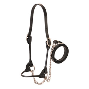Weaver Leather Dairy/Beef Rounded Show Halter