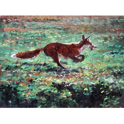 Can't Catch Me (Fox) Blank Greeting Cards - 6 Pack