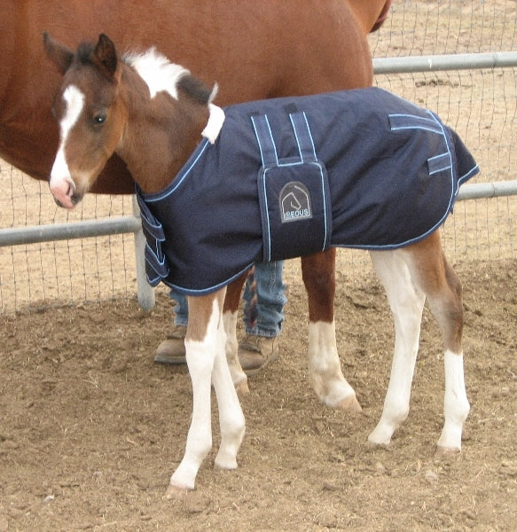 EOUS Heavyweight Foal Blanket