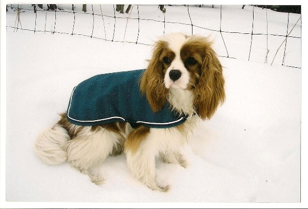 EOUS Waterproof Dog Rainsheet