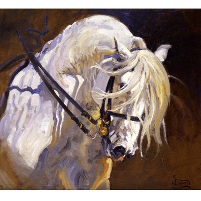 Andalusian Stallion