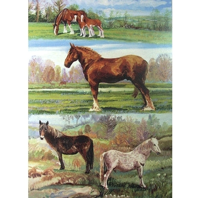 Clydesdales and Ponies Blank Greeting Cards - 6 Pack