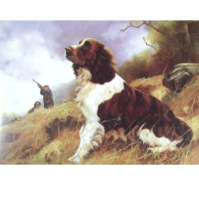 Eye on the Bird (English Springer) Blank Greeting Cards - 6 Pack