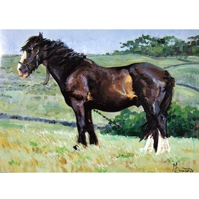 The Gypsy Blank Greeting Cards - 6 Pack