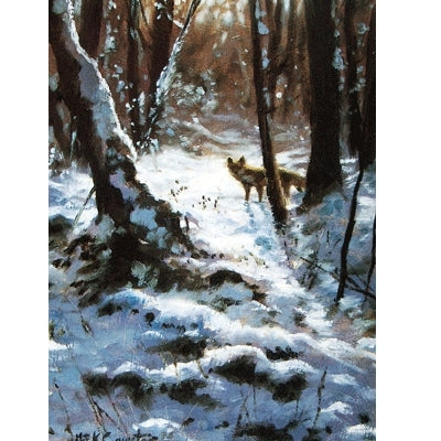 Winter Fox Blank Greeting Cards - 6 Pack