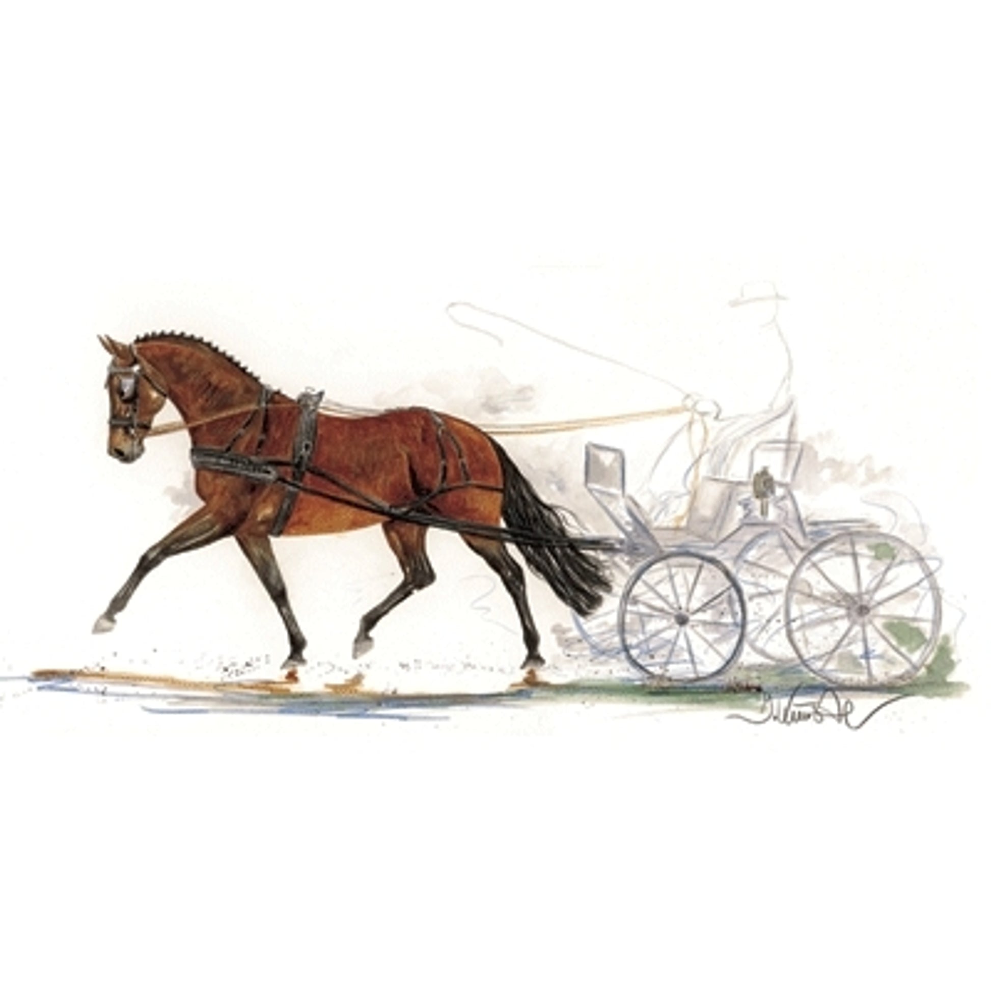 Stefano (Driving) By: Jan Kunster