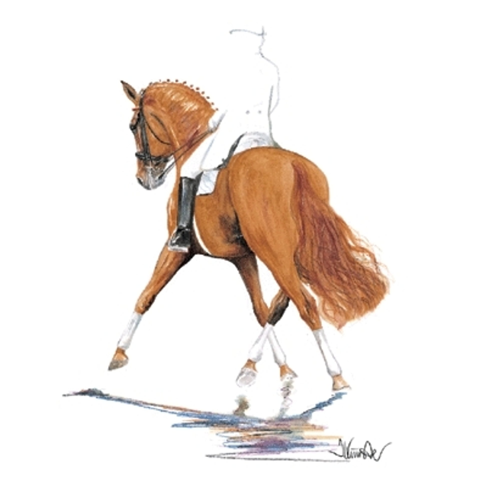 Bernstein (Dressage)