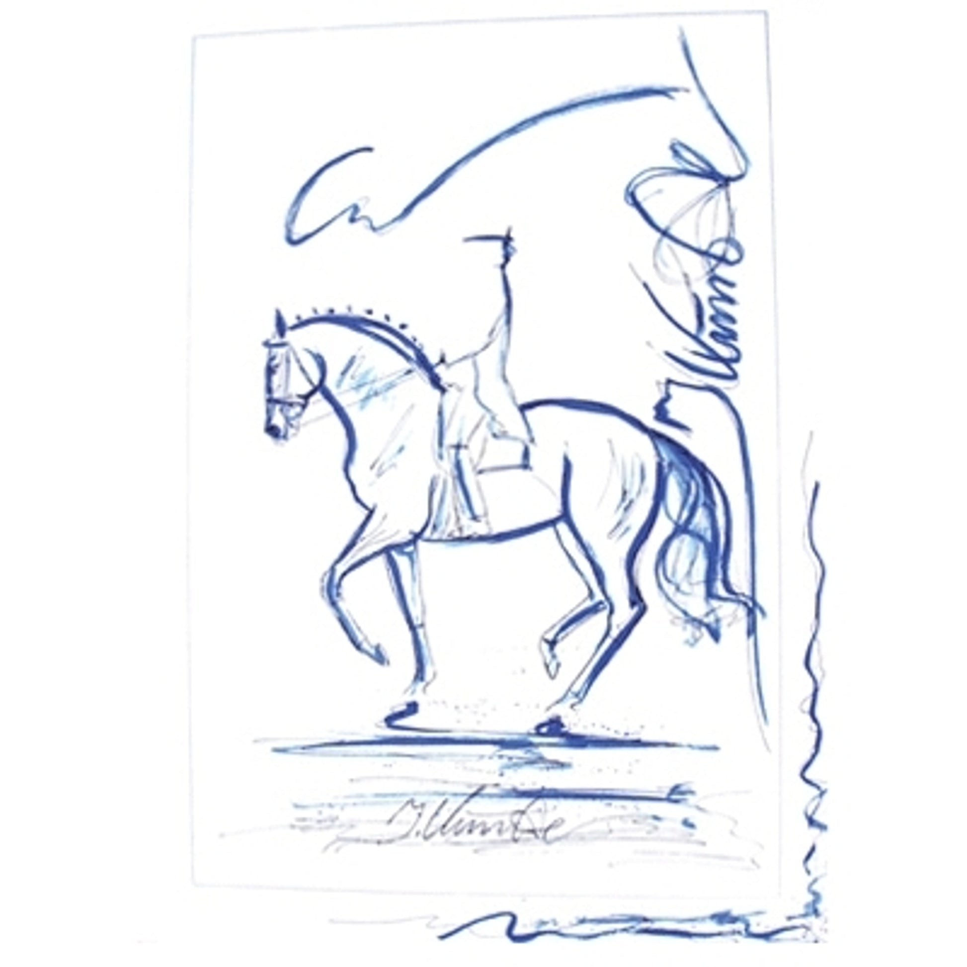 Na Pali (Dressage) By: Jan Kunster