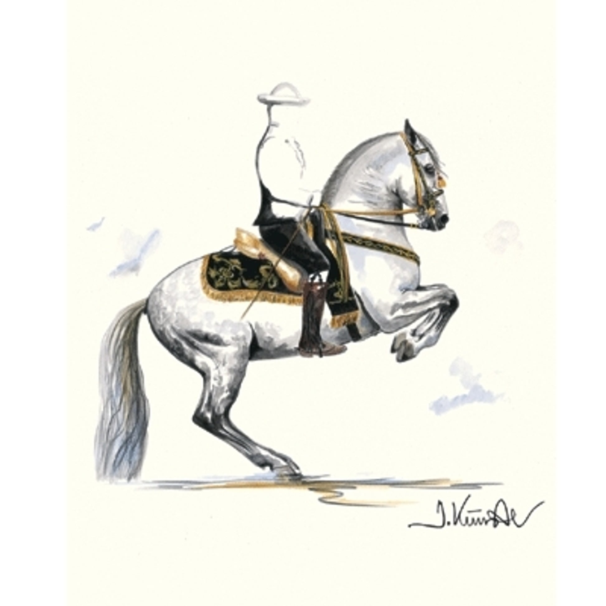 Lavade (Lipizzan) By: Jan Kunster, Matted