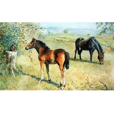When all the World is Young By: Jo Campin