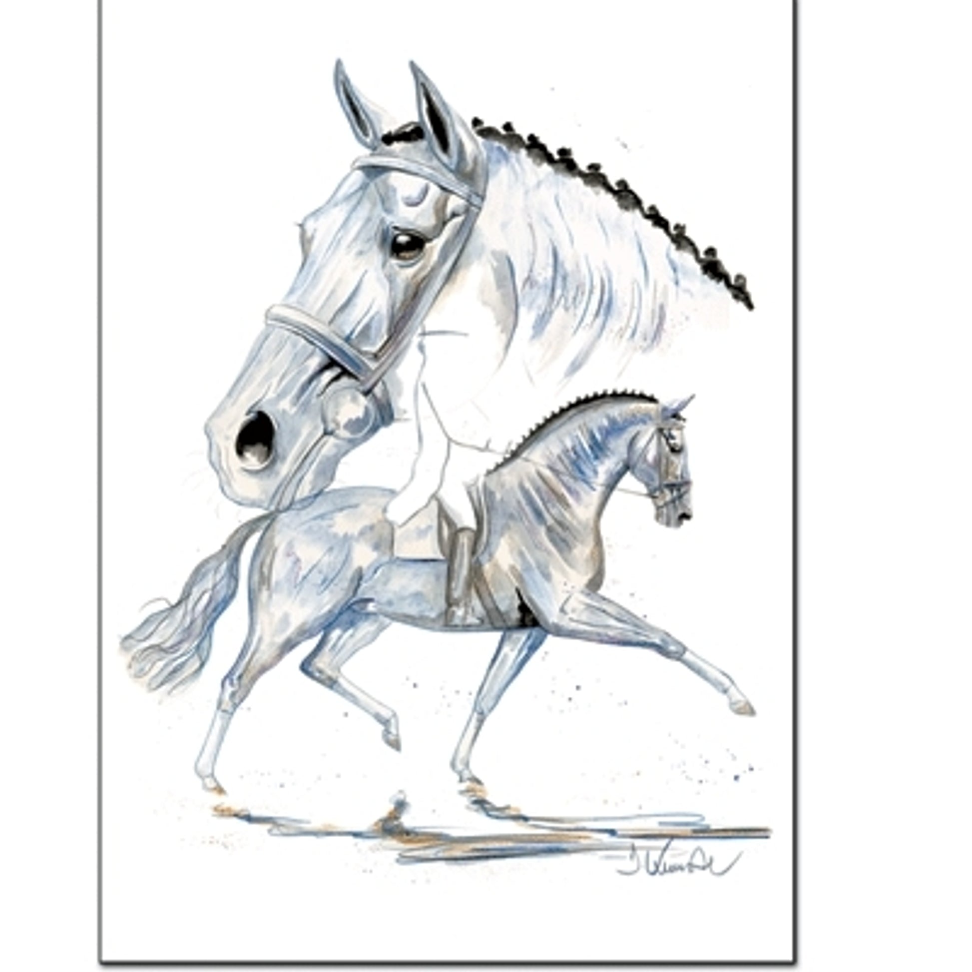 Porto Fino (Dressage) By: Jan Kunster