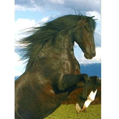 The Stallion Blank Greeting Cards - 6 Pack