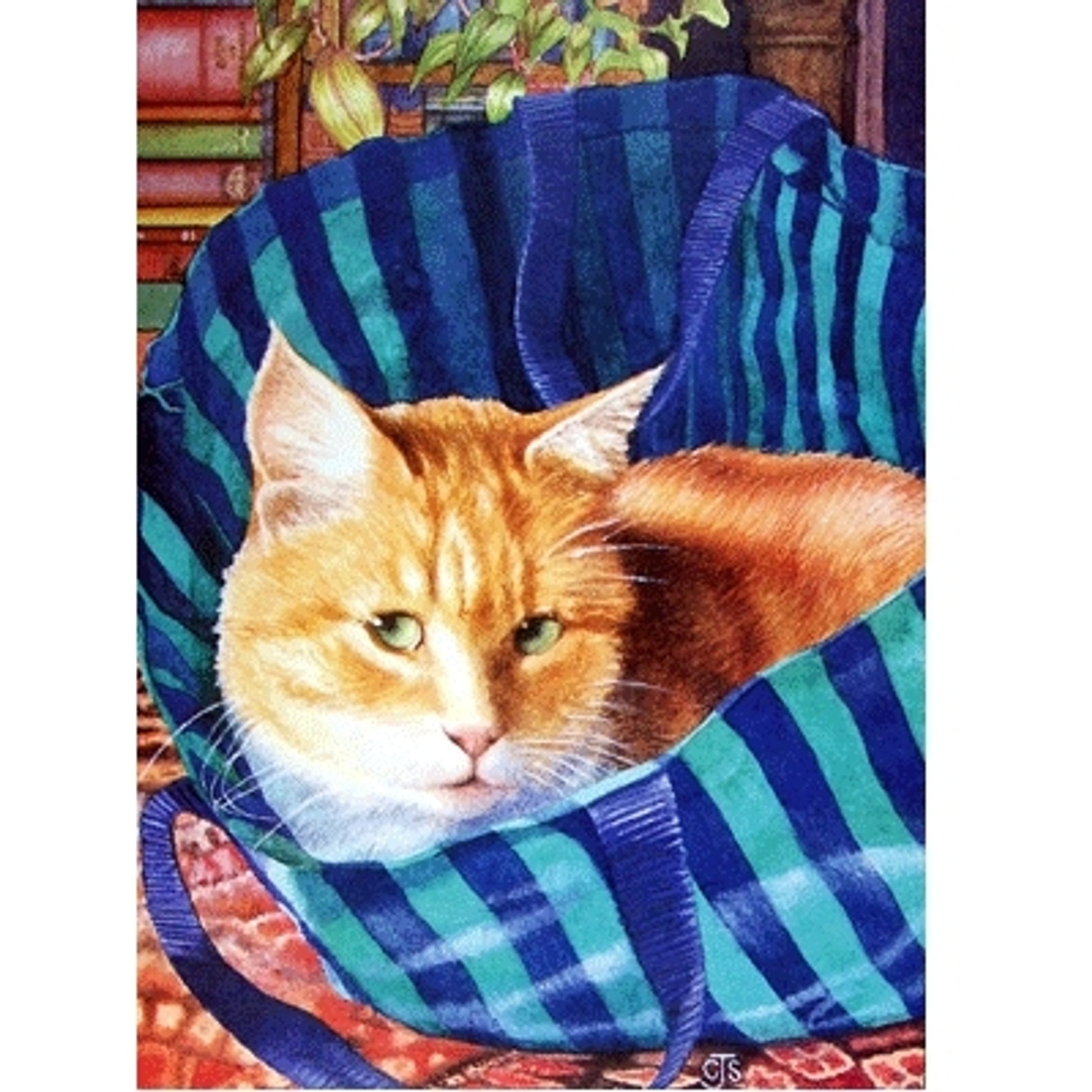 Bagged Blank Greeting Cards - 6 Pack