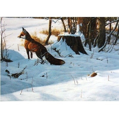 Christmas Morning (Fox) Blank Greeting Cards - 6 Pack