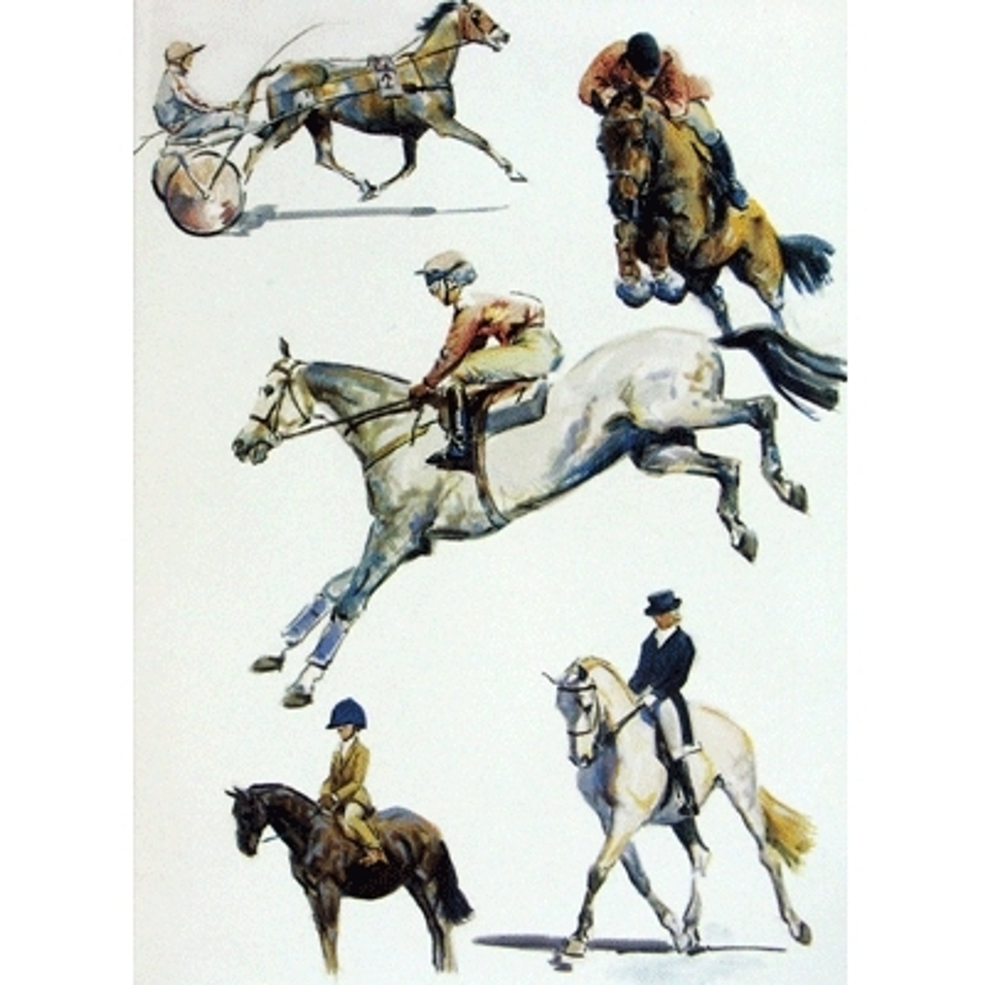 Sports Horses Blank Greeting Cards - 6 Pack