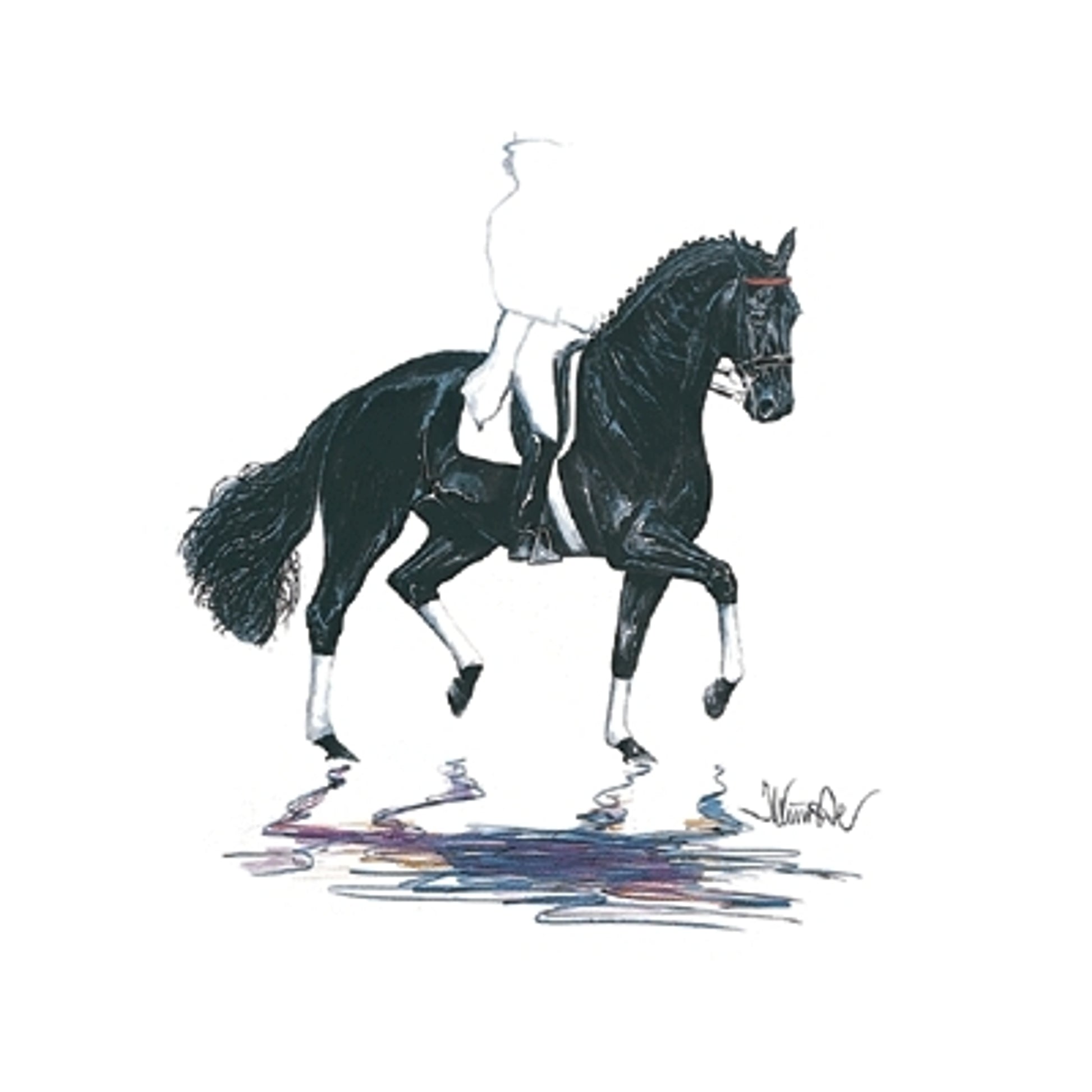 Baccara (Dressage) By Jan Kunster