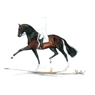 Biotop (Dressage), Matted
