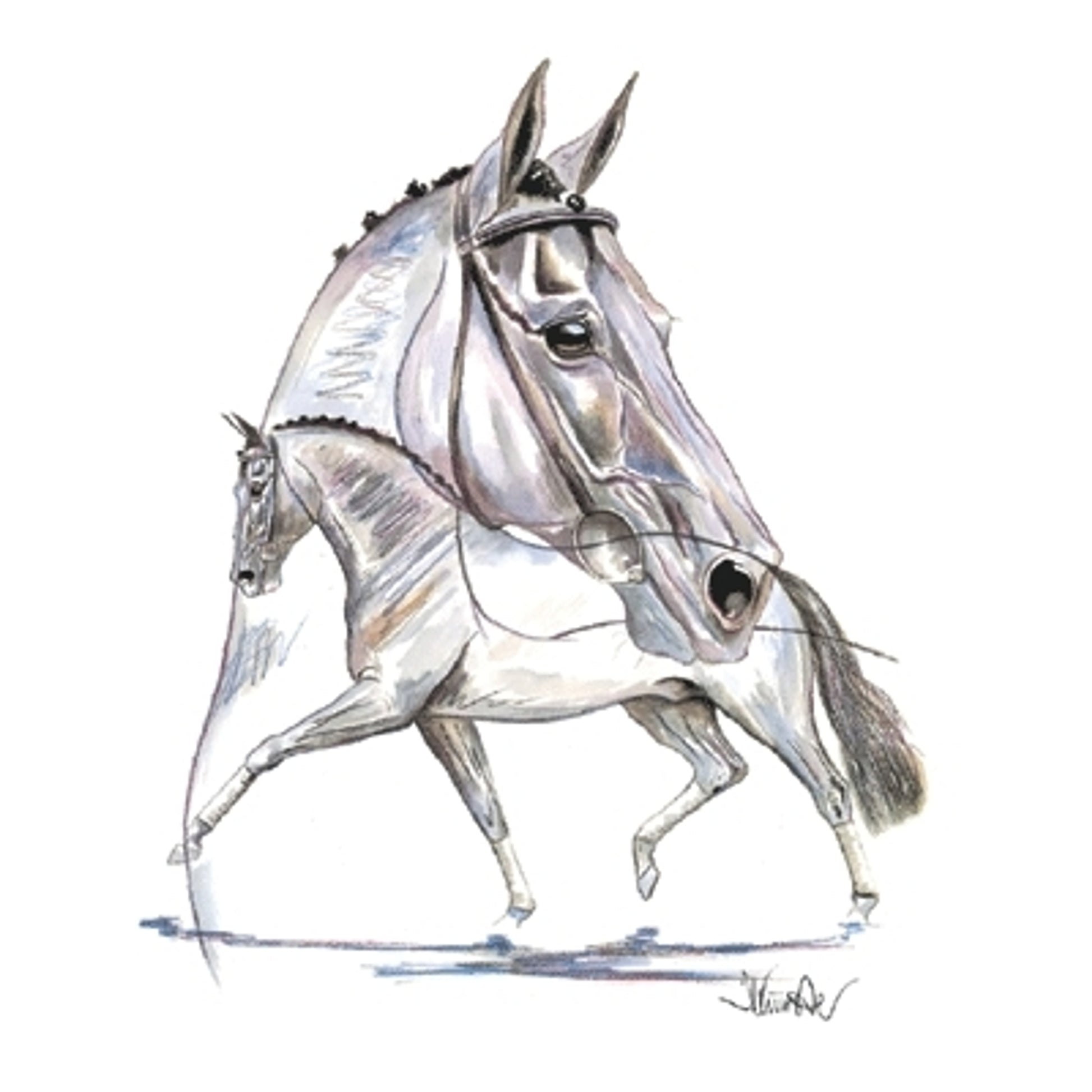 Hengsttraum (Dressage) By: Jan Kunster