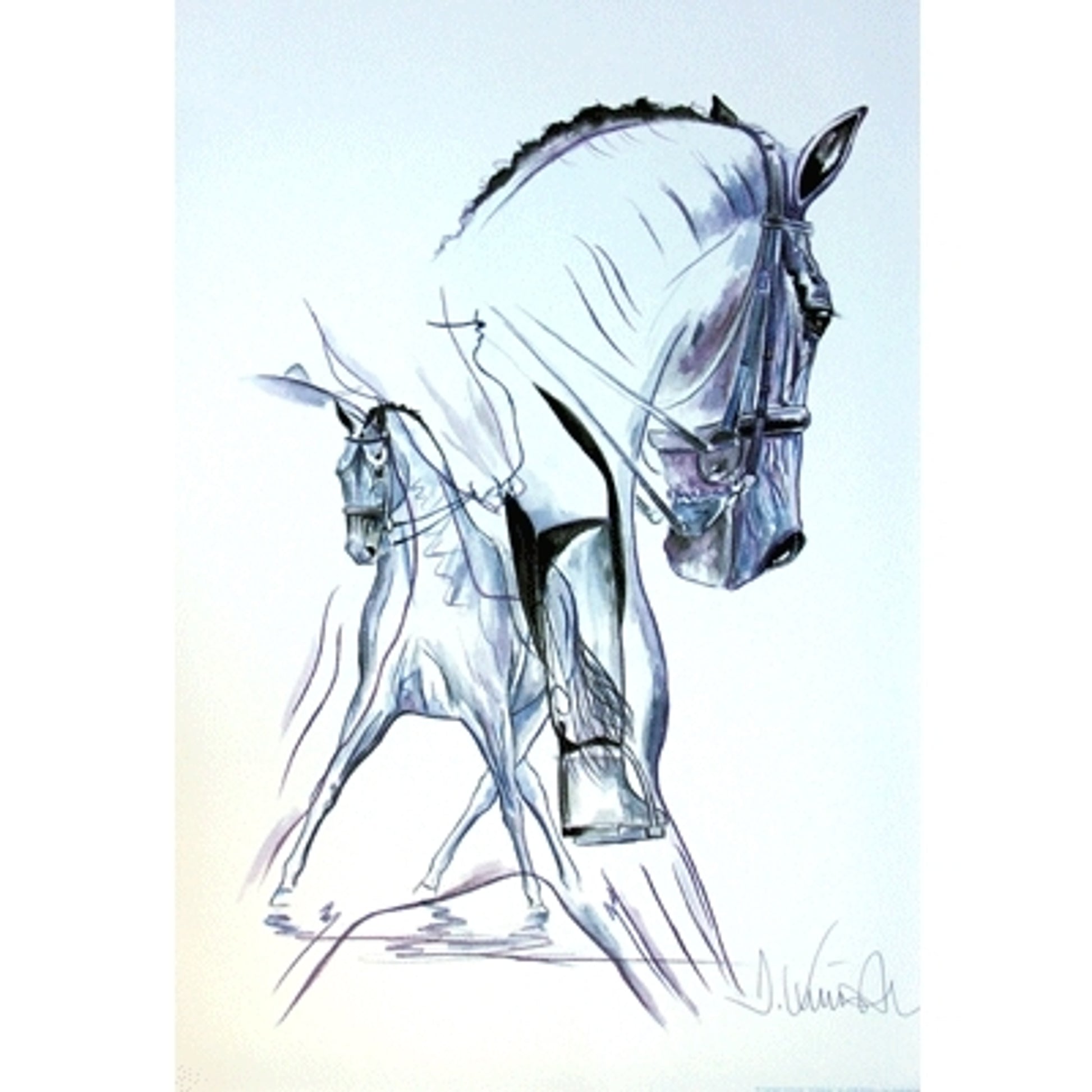 Traversalenstraum (Dressage) By: Jan Kunster