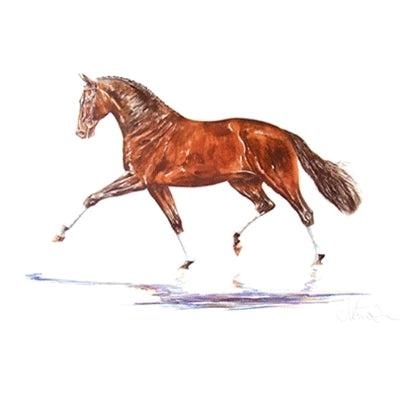 Hengst (Dressage) By: Jan Kunster