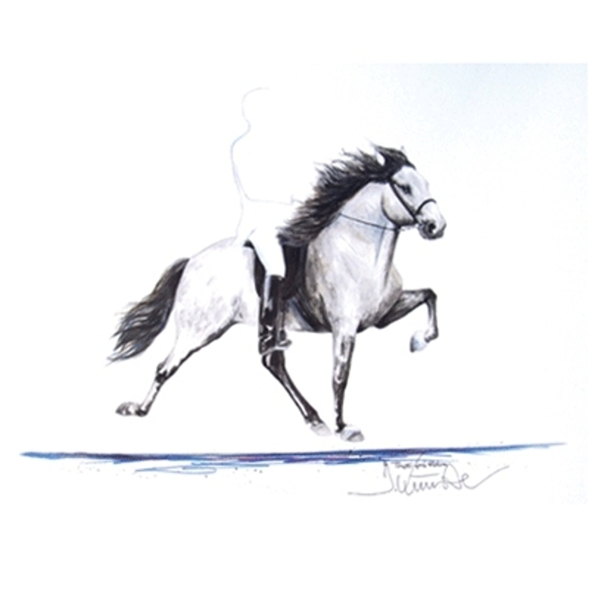 Thotti (Icelandic Horse)