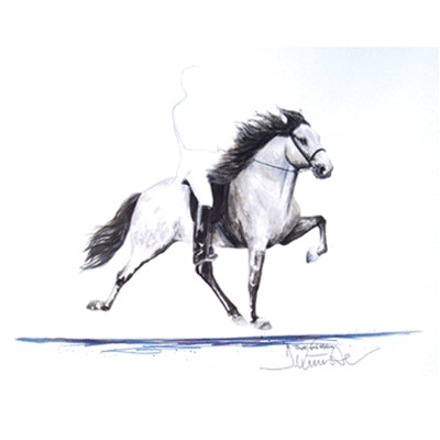 Thotti (Icelandic Horse)