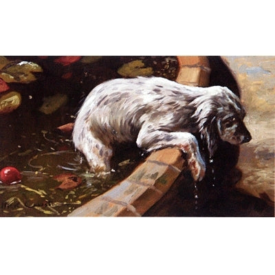 His First Dip By: Mick Cawston