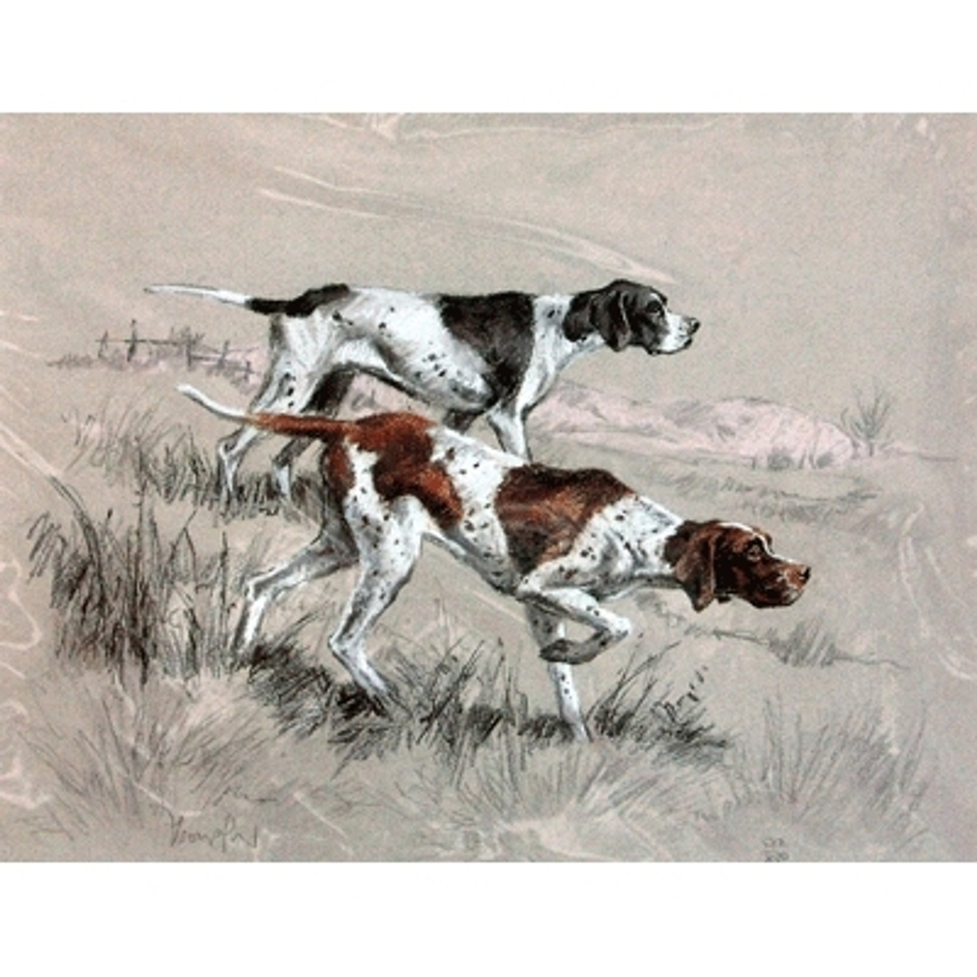 English Pointers By: David Thompson, Matted