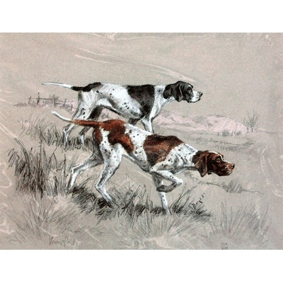 English Pointers By: David Thompson, Matted