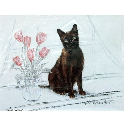Burmese Cat By: Gill Evans, Matted