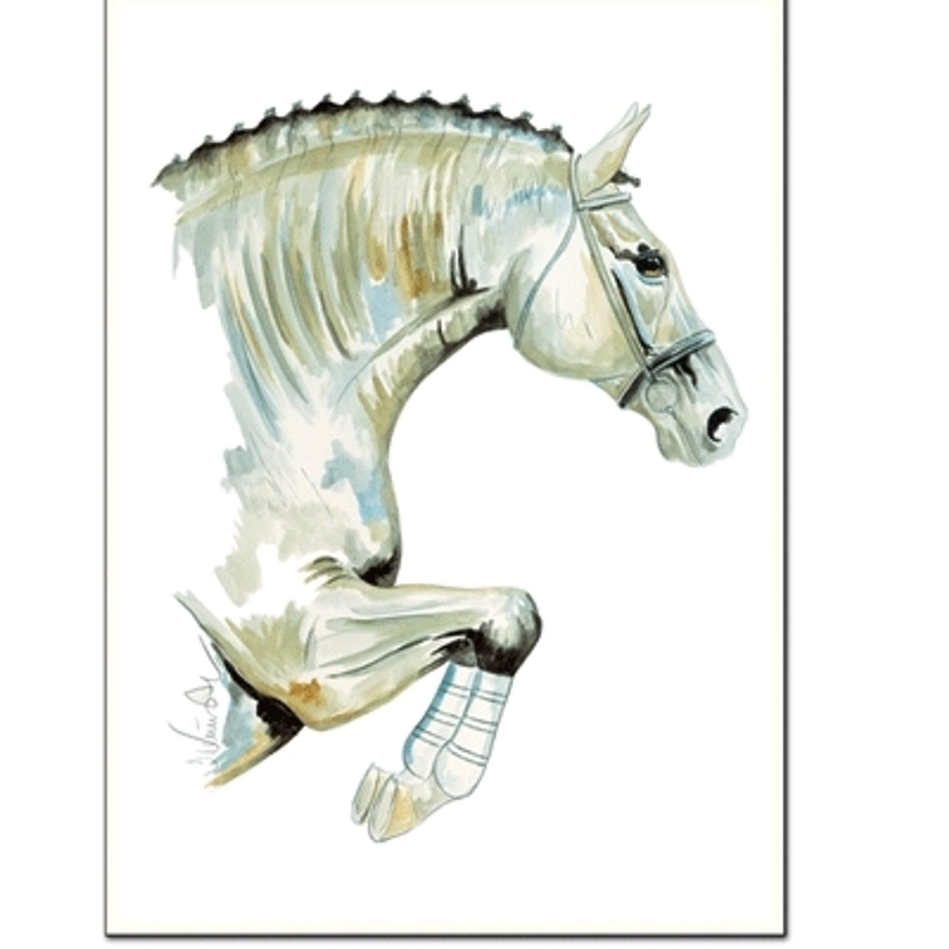Network (Show Jumper) By: Jan Kunster