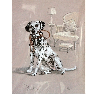 Dalmatian By: David Thompson, Matted